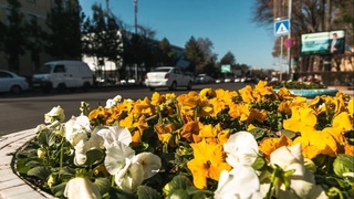 Прогноз погоды на 4 апреля