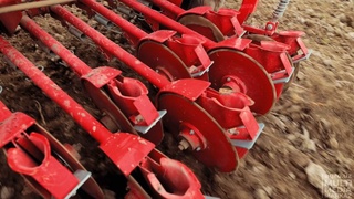 Янги лойиҳа: Сирдарёда органик қора седана етиштирилади