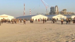 Инцидент в Кашкадарьинском районе: комментарий