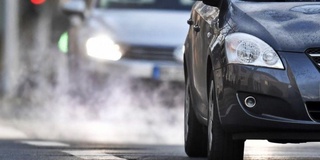 Ҳавонинг ифлосланиши мия фаолиятига салбий таъсир кўрсатади