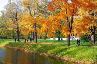 Прогноз погоды на день 10 ноября