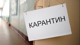 Ҳиндистон ва Туркиядан кириб келаётган фуқаролар карантинга олинадими?