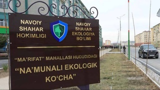 Образцовая экологическая улица