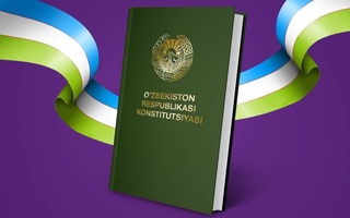 Соцопрос: 83% опрошенных узбекистанцев поддержали конституционную реформу в стране
