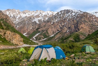 В заповедниках, национальных парках и лесных хозяйствах Узбекистана будут запущены услуги экотуризма