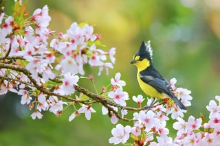 Weather forecast for March 25