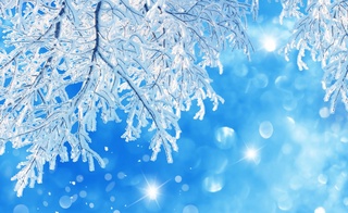 Келаётган қиш мавсуми: ёғингарчилик меъёрдан бироз кам кузатилиши прогноз қилинмоқда