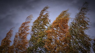 Ҳафтанинг охирига келиб, об-ҳаво кескин ўзгариши кутилади