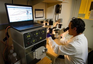 Semizlikni davolashning yangi usuli ishlab chiqildi