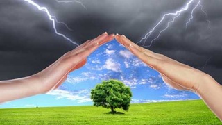 “ЯНГИ ЎЗБЕКИСТОН”да ўқинг: ҒОЯВИЙ ИММУНИТЕТ