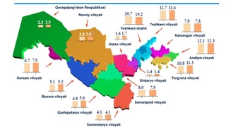 Йўловчи ташиш бўйича етакчи транспорт тури аниқланди