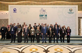 Central Asian countries and international organizations strengthen cooperation for the protection of migratory species