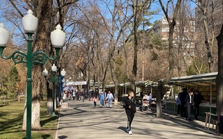 Прогноз погоды на 11 января