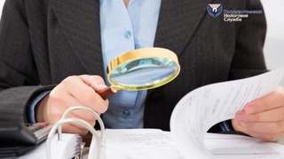 Факт осуществления «фиктивных» сделок подтвержден на 7321 предприятии