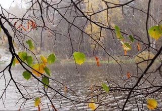 Прогноз погоды на день 14 декабря