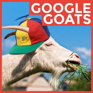 Нима учун "Google" компанияси ҳар ҳафта 200 та эчкини ишга олади?