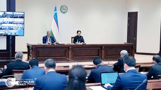 В Сенате Олий Мажлиса создан новый комитет