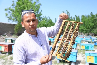 Yozyovonlik tadbirkor ari oilalarini Rossiya va Qozogʻistonga eksport qilishni boshladi