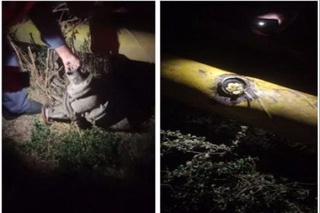 Сурхондарёда “Nexia-3” газ қувурига урилиши оқибатида қариб 4 минг аҳоли газсиз қолди