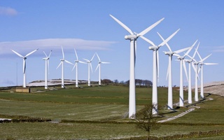 Международная финансовая корпорация поможет Узбекистану в развитии проектов в сфере ветровой энергетики