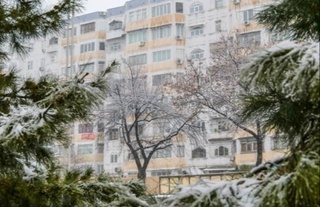 Декабрь ойининг иккинчи ярмида Ўзбекистон бўйлаб қандай об-ҳаво кузатилади?