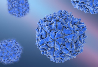 Полиомиелитнинг OPV1 ва OPV3 вирусларига қарши иккита вакцина ишлаб чиқилди