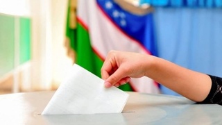 ЦИК России окажет поддержку в организации выборов Президента для граждан Узбекистана на территории РФ