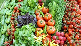 Иордания отменила карантинные ограничения на импорт ряда видов сельхозпродукции Узбекистана