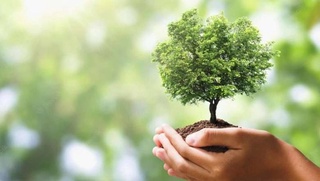 Жаңа электрон платформа: Онда терек қай жерге егилгени, қаржы қалай жумсалып атырғаны ҳаққында мағлыўмат сәўлеленеди