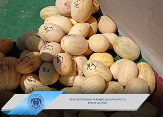 В Ташкенте изъяли из продажи 150 кг непригодных к употреблению дынь