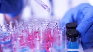 The number of coronavirus infected reaches 2325