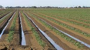 Oqar suvni ham hisobi bor