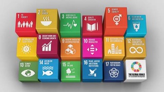 Узбекистан поднялся на 8 позиций в международном рейтинге SDG Index