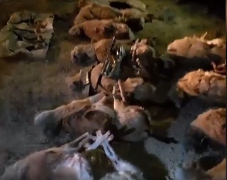 Brokonerlarga qonuniy chora ko‘riladi