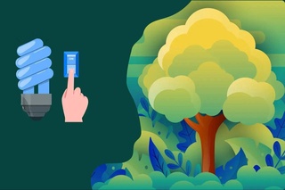 25 марта во всех государственных организациях Узбекистана на один час будет выключено электричество