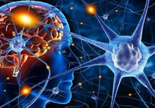 Koronavirusning xotiraga taʼsiri qanday? Bu haqda mutaxassis izoh berdi