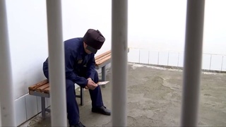 Террор таъсирида пароканда бўлган оила