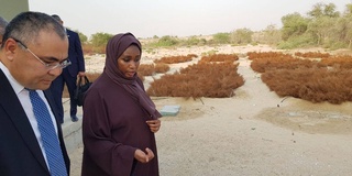 Вазири инноватсияҳо якҷоя бо ICBA барномаи рушди кишоварзии минтақаи Аралро баррасӣ кард