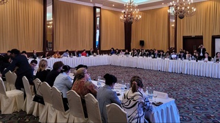 Состоялся обмен мнениями относительно новых подходов, идей и инициатив по достижению гендерного равенства в Узбекистане