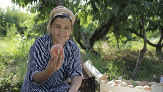 USAID объявляет третий конкурс концептуальных заявок с целью содействия развитию агробизнеса в Узбекистане
