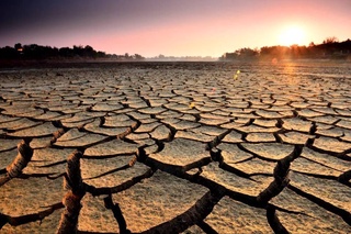 Площадь истощенных земель в мире превысила размер Антарктиды