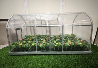 В Узбекистане будет запущено производство «умной» терморегулирующей пленки