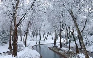 Прогноз погоды на 18 ноября