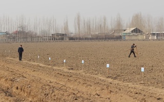 Мана имконият: унумдор ер+уруғлик+миришкор маслаҳатчи