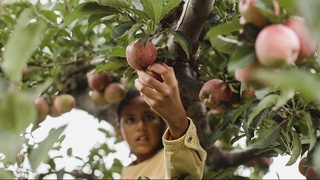 Источник благосостояния