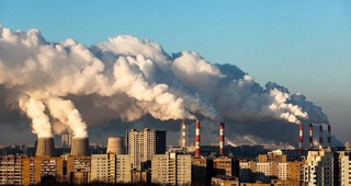 Только семь стран в 2024 году соответствовали стандартам ВОЗ по качеству воздуха