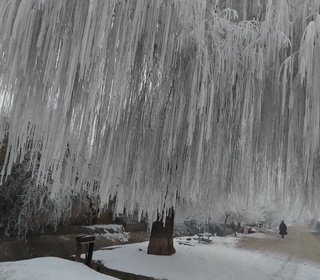 Ўзбекистон аҳолиси ғайриоддий об-ҳаво ҳодисасини кузатмоқда