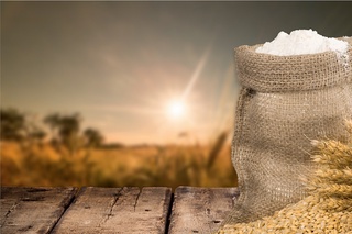 Ішкі базады ұнмен тұрақты қамтамасыз ету үшін резерв жеткілікті ме?