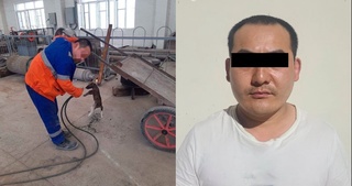 Ҳайвонларга шавқатсиз муносабатда бўлган шахсга чора кўрилди