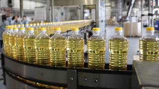 В Узбекистане ожидается реализация 70 инвестиционных проектов по производству растительных масел